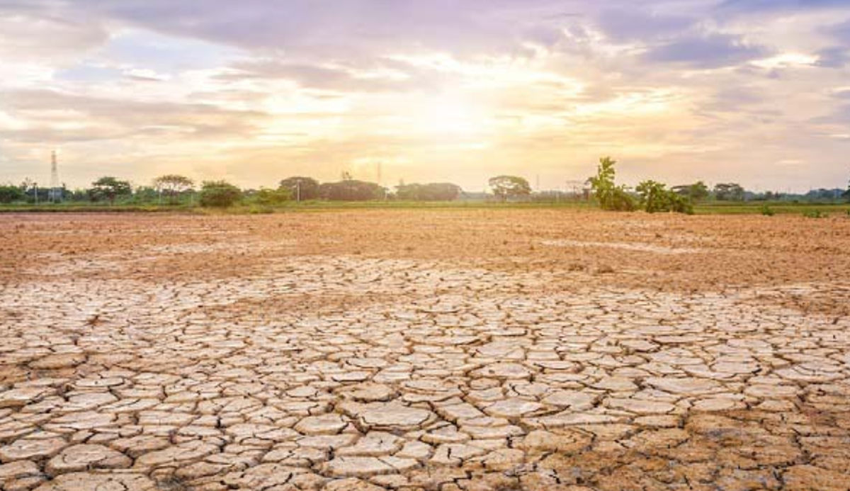 TOP INDO El Nino Dahsyat Mungkin Picu Kepunahan Massal yang Musnahkan 90 Persen Spesies Bumi