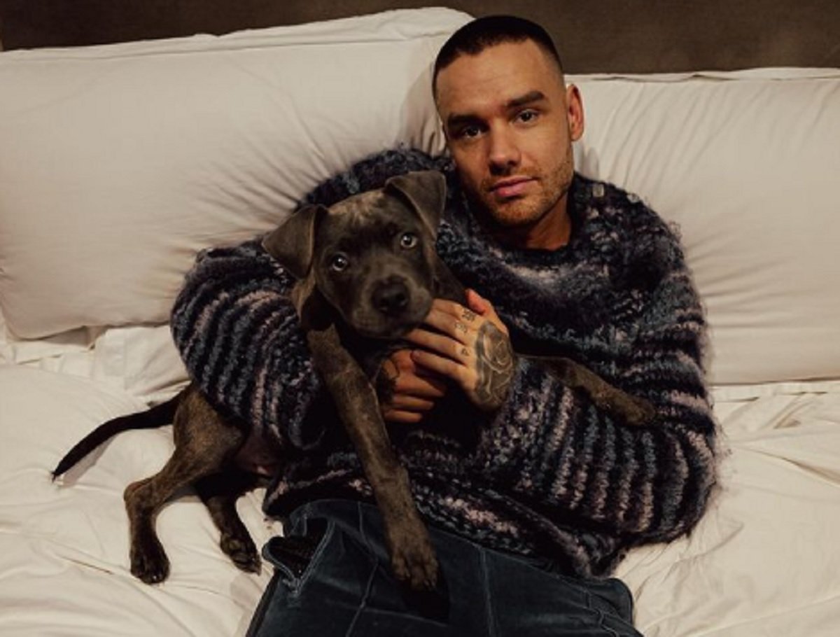 INDO PAY Liam Payne Pernah Idap Penyakit Ginjal Sebelum Meninggal Dunia