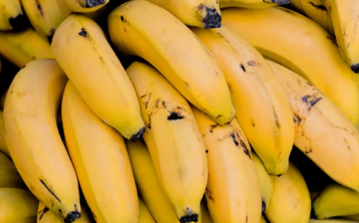 INDO PAY Morning Banana Diet Kembali Viral di Media Sosial, Efektif Turunkan Berat Badan