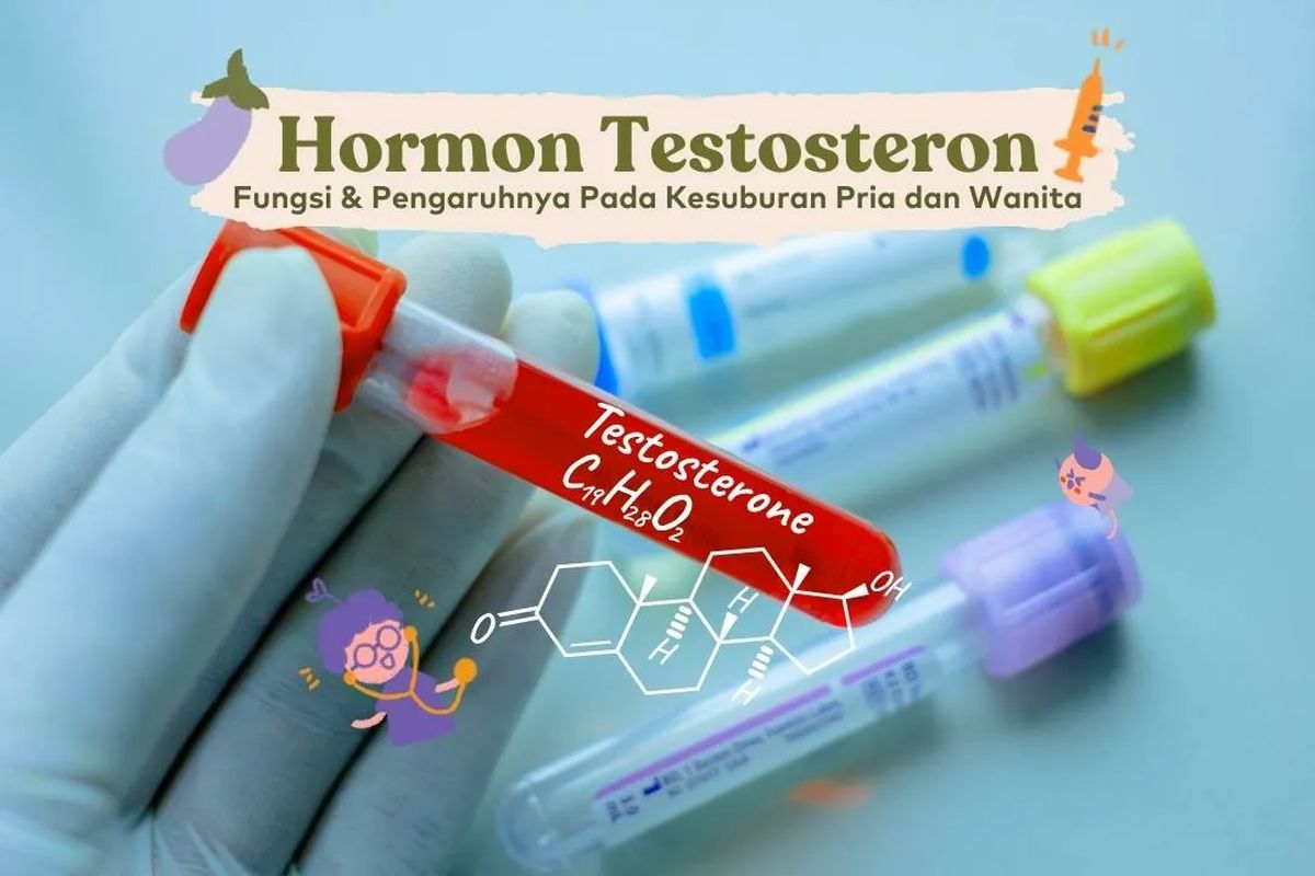 TOP INDO Tak Cuma untuk Pria, Perempuan Juga Harus Jaga Hormon Testoteron Loh