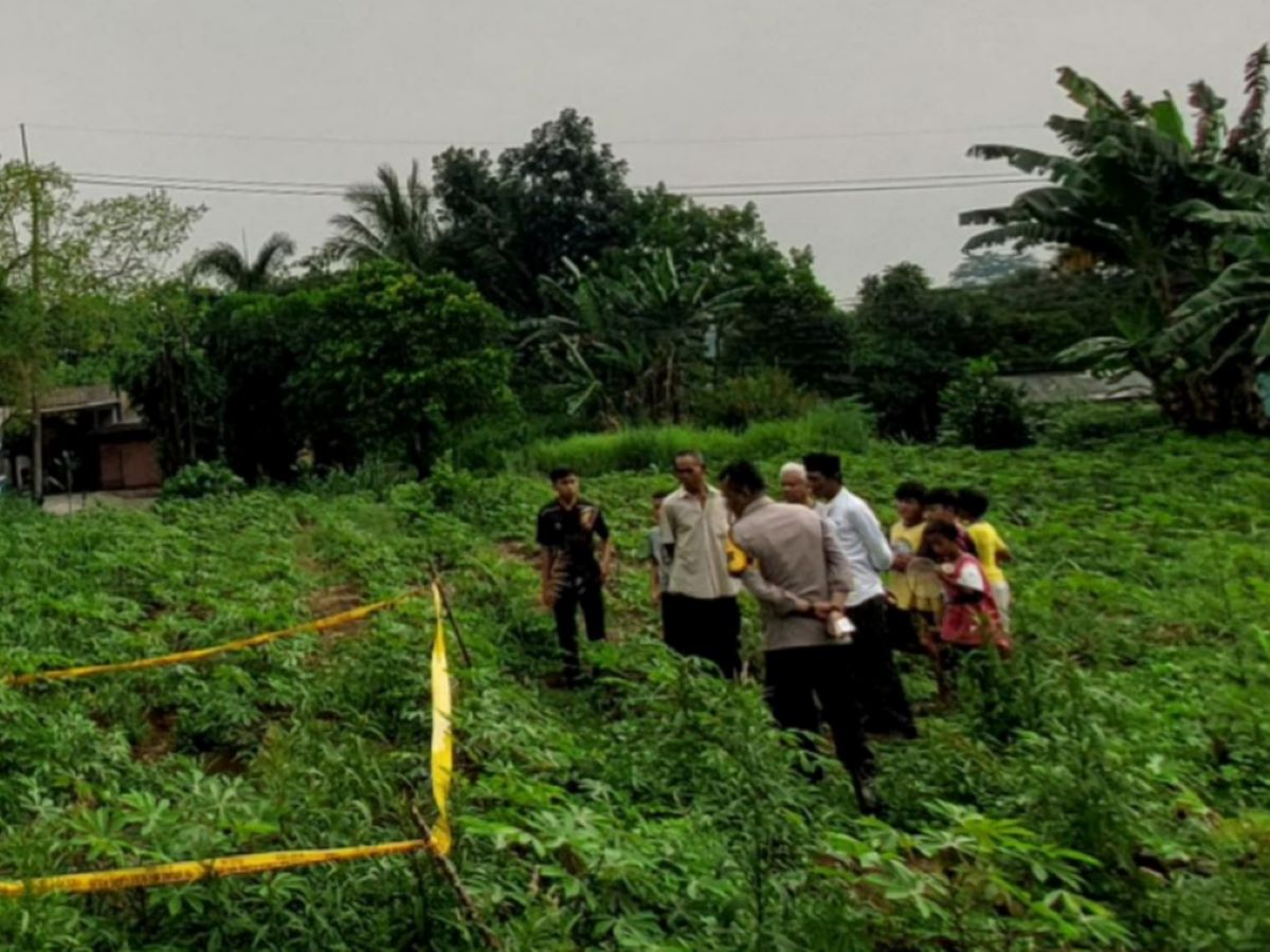 TOP PAY Terungkap! Mayat Wanita Tanpa Busana di Kebun Singkong Bogor Seorang Lansia Asal Jaksel