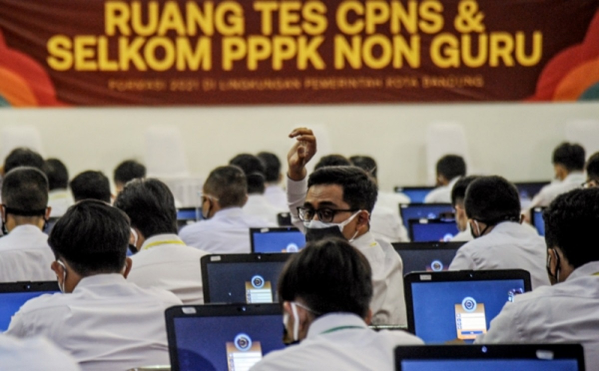 TOP INDO Tes CPNS 2024 Bidang Apa Saja?