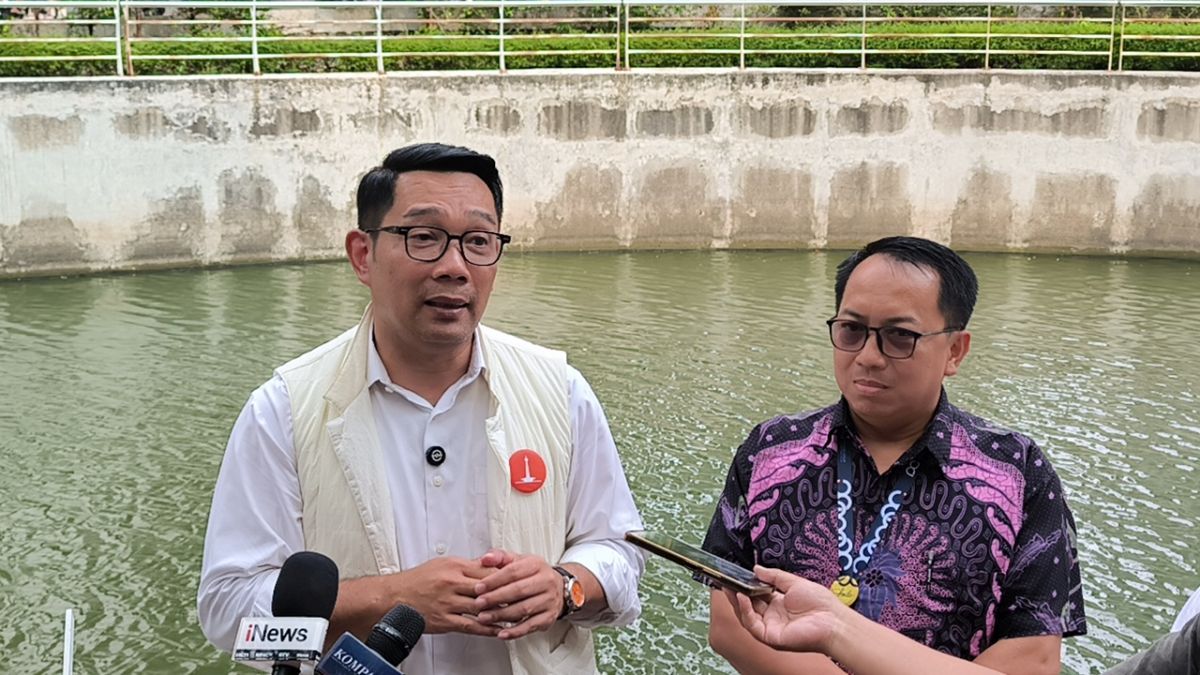 Dalam 5 Tahun, RK Ingin Sulap Jakarta Bakal Banyak Pohon dan Sungai Bersih