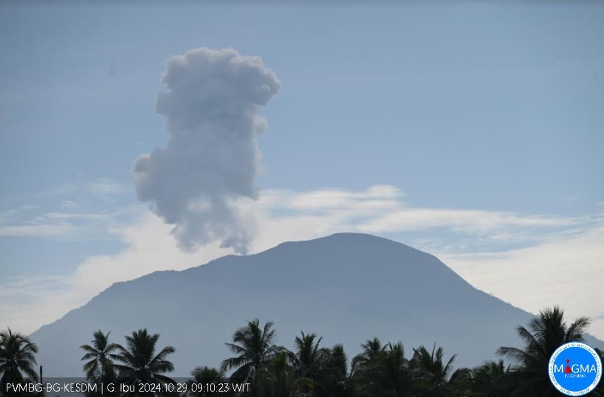 Pagi Ini, Gunung Ibu Erupsi Luncurkan Abu Vulkanik 800 Meter