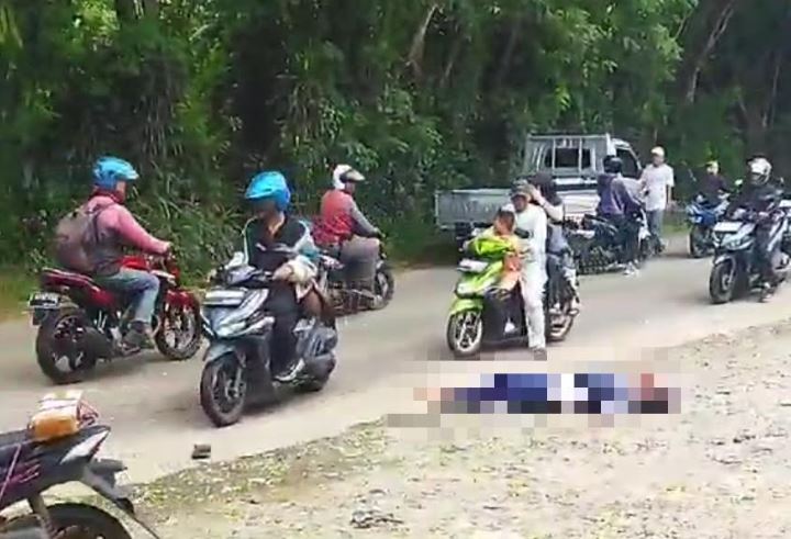 Pohon Tumbang di Bogor Kembali Makan Korban, Kali ini Menimpa Sejoli yang Tengah Berboncengan