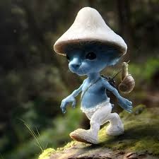 Ternyata Ini Arti Meme Smurf Cat yang Viral di Medsos, Bikin Ngakak