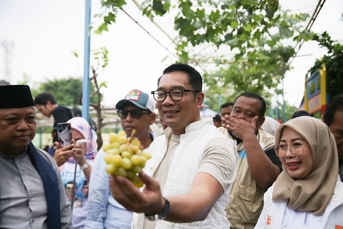 Warga Kembangan Harap Ridwan Kamil Perbanyak Agro Eduwisata di Jakarta