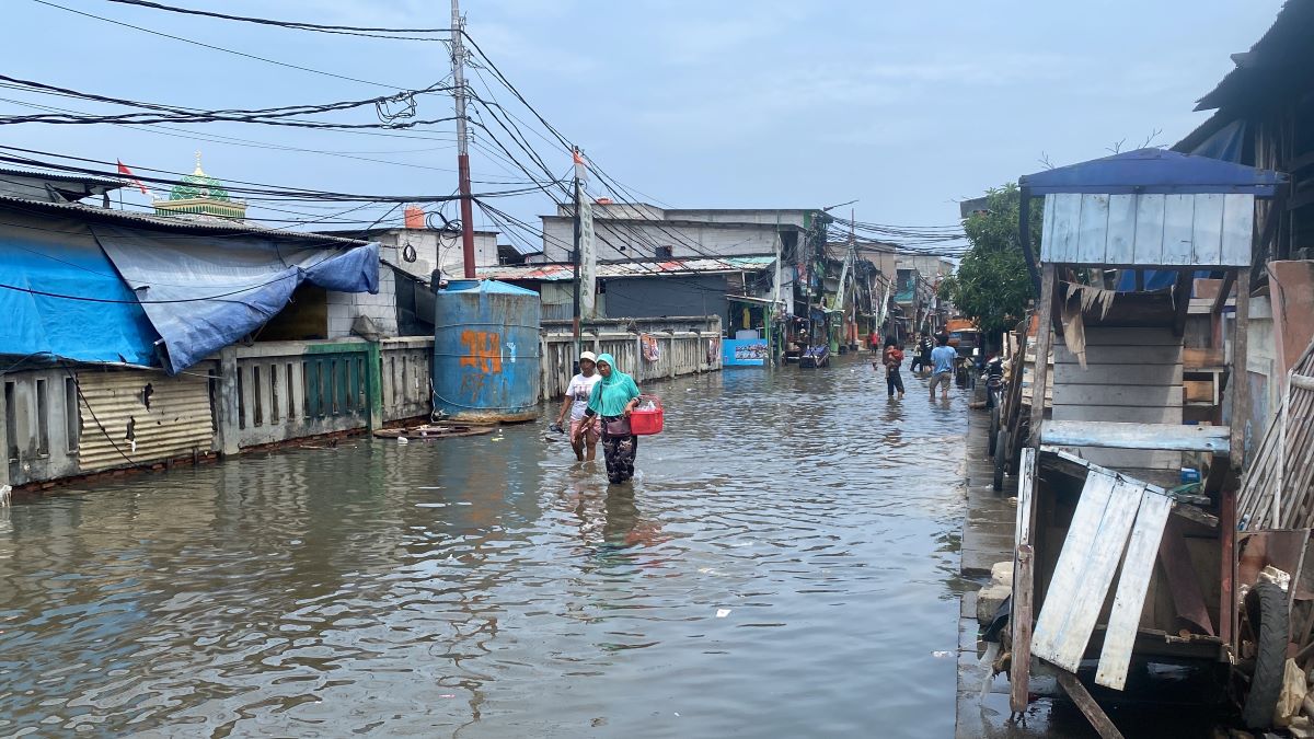 Kisah Pilu Warga Muara Angke yang Terendam Banjir Rob 5 Hari: Krisis Air Bersih hingga Butuh Obat-obatan