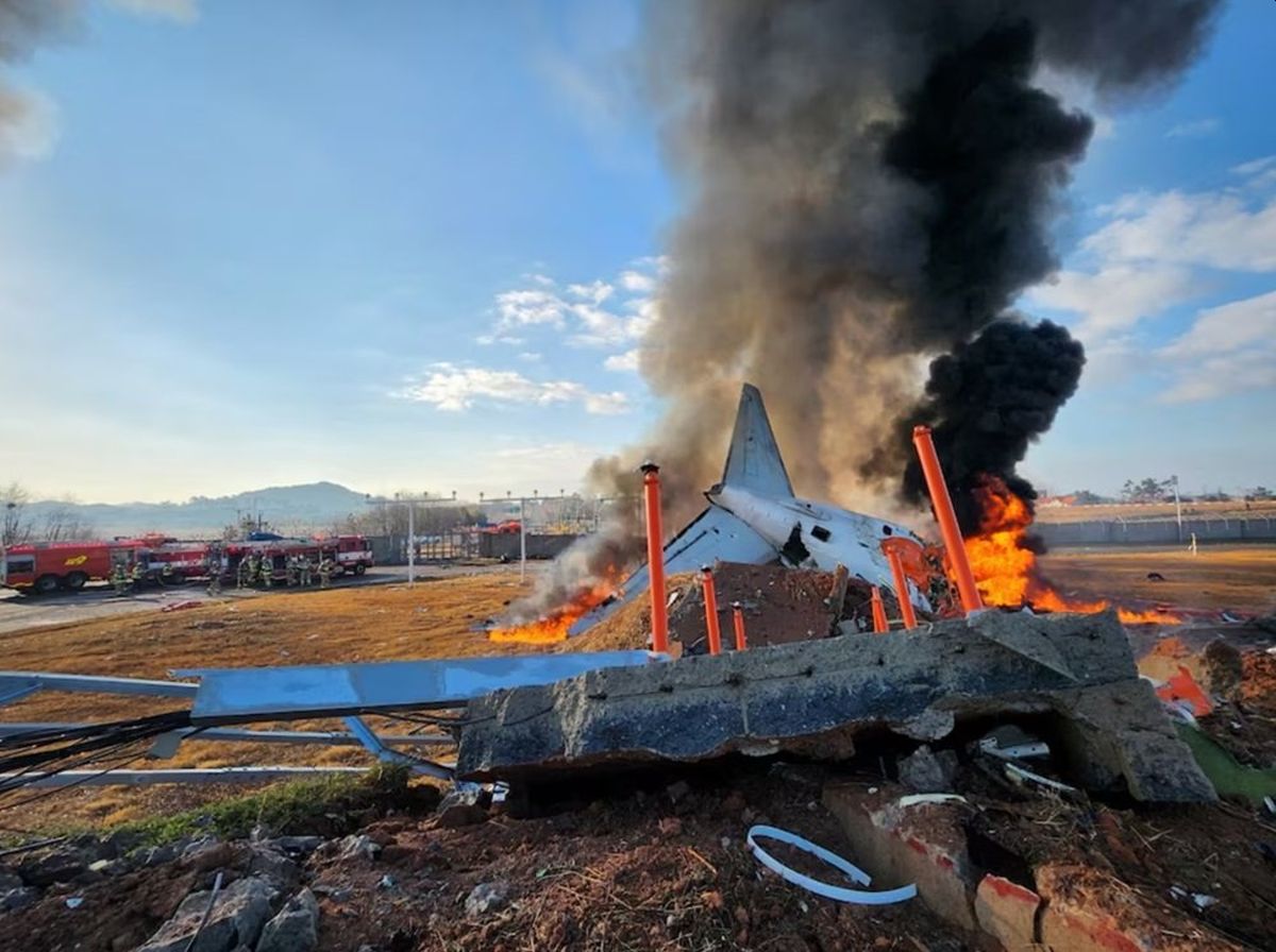 Sebelum Kecelakaan, Pesawat Jeju Air Dikabarkan Sempat Tabrak Burung